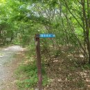 백화산등산로(보문사) 이미지