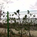 금강체육공원 이미지