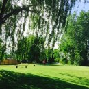 마이골프(MY GOLF) 이미지