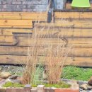 단양중학교 | 오랜만에 고즈넉한 힐링여행 단양독채펜션 후기