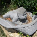 갈전농장 이미지