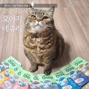 네이츄리 | 기호성 끝판왕 오아지 네츄리 고양이 습식 간식 파우치 9가지 맛 급여 후기