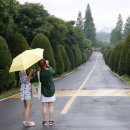 솔방솔방 이미지