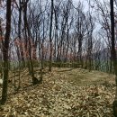 화원명곡숲 이미지