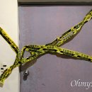 마산회원구 ⓒ-12 이미지