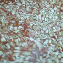 어매보신탕 이미지