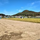 신도3리 이미지