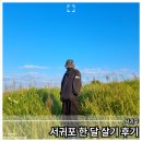 서귀포시청2청사 앞 | 서귀포 한 달 살기 후기
