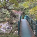 기백산화장실 이미지