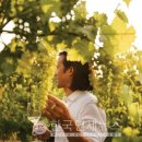 제우스기획 이미지