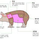 아크피티스튜디오 이미지