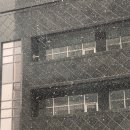 히피펌에서 단정한 C컬로, 구디 미용실 유트리헤어 사니 실장님 찐 후기 - 새해맞이 대변신