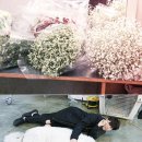 포크기타(주간) 이미지