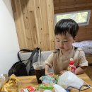 골드펫리조트 이미지