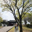 씨유진주강남로점 | 경남 진주 여행 후기｜당일치기로 다녀오기 좋은 여행지·진주성 주차장·진주 남강 피크닉존 추천