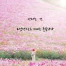 연신유도체육관 네이버블로그