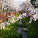 여좌천거리 이미지