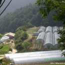 푸르름의 농원 이미지