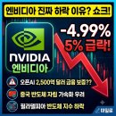 에스케이쉴더스(주)서부지점 | 엔비디아 5% 급락, 진짜 하락 이유는?