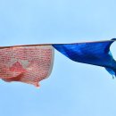 JM 행정사 사무소 이미지