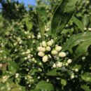 탐나는 펜션 이미지