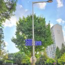 장자호수공원(시민의숲) 이미지