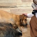 참숯마을식당 이미지