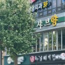 광주 충장로 맛집 샤브향 점심 특선 먹방!