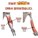 조은신발 | [인천 논현동 조은운동] 1:1 개인 PT로 하체·상체 밸런스 맞추기 운동 후기