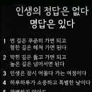 명품1로 이미지