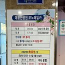 &lt;진해군항제 후기&gt;모노레일타고 진해 박물관까지!