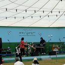 혼자 뚜벅이로 다녀온 2024 제12회 무주산골영화제