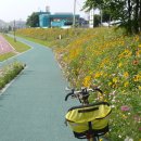 탄천 연원마을 이미지