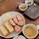 도톰카츠배곧점