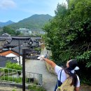 풍기향교<대성전동.서무> | 전주향교, 경기전 막걸리 한상~야간 가맥/태조이성계역사탐방후기 250706(일) - 7