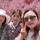 완산-166 이미지