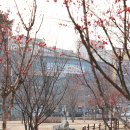 각산비나리근린공원 이미지