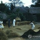 보리타작 이미지