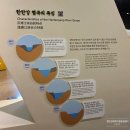 포천 역사문화관 | 포천 한탄강세계지질공원센터 다녀온 후기 with 10월 스페셜 배지