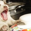 대가꽃게장 이미지