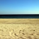 후포항수산 이미지