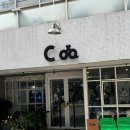 강남역 히피펌 유명한 쿠헤어 👩‍🦱