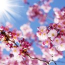 경산정신과의원 이미지