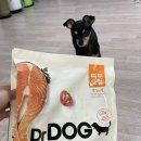 DOG사랑 | 강아지눈물사료 추천, 닥터독 피부모질 연어 사료 Dr DOG