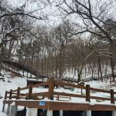 용인자연휴양림1 이미지