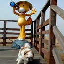 공룡공인중개사사무소 이미지