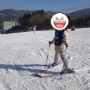 웰리힐리파크스키강습TEAMACE 이미지
