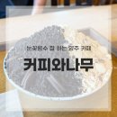 양주 빙수 커피와나무 후기 보고 다녀온 솔직 후기