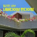세부 네버다이브 리조트, 프리다이빙 펀다이빙 내돈내산 후기