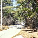 노송부동산 이미지